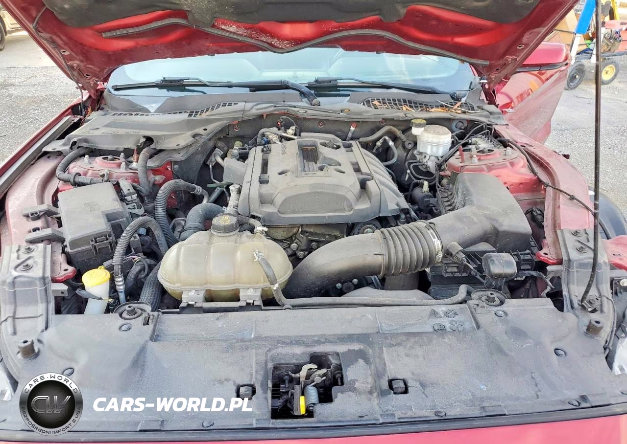2019 Ford Mustang VIN:1FA6P8TH3K5203983 - 11