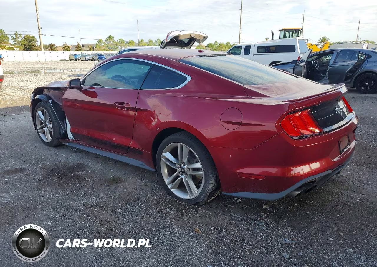 2019 Ford Mustang VIN:1FA6P8TH3K5203983 - 2