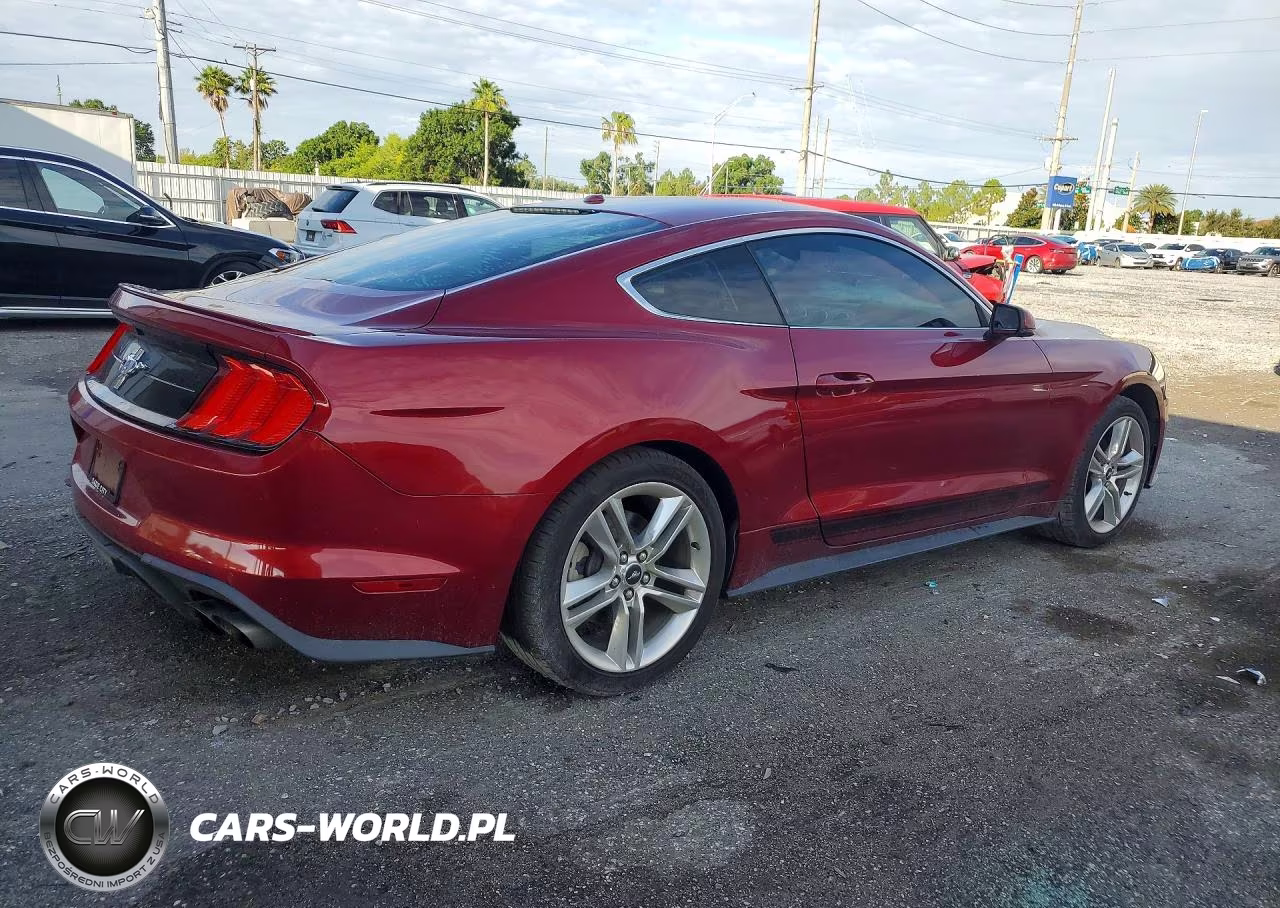 2019 Ford Mustang VIN:1FA6P8TH3K5203983 - 3