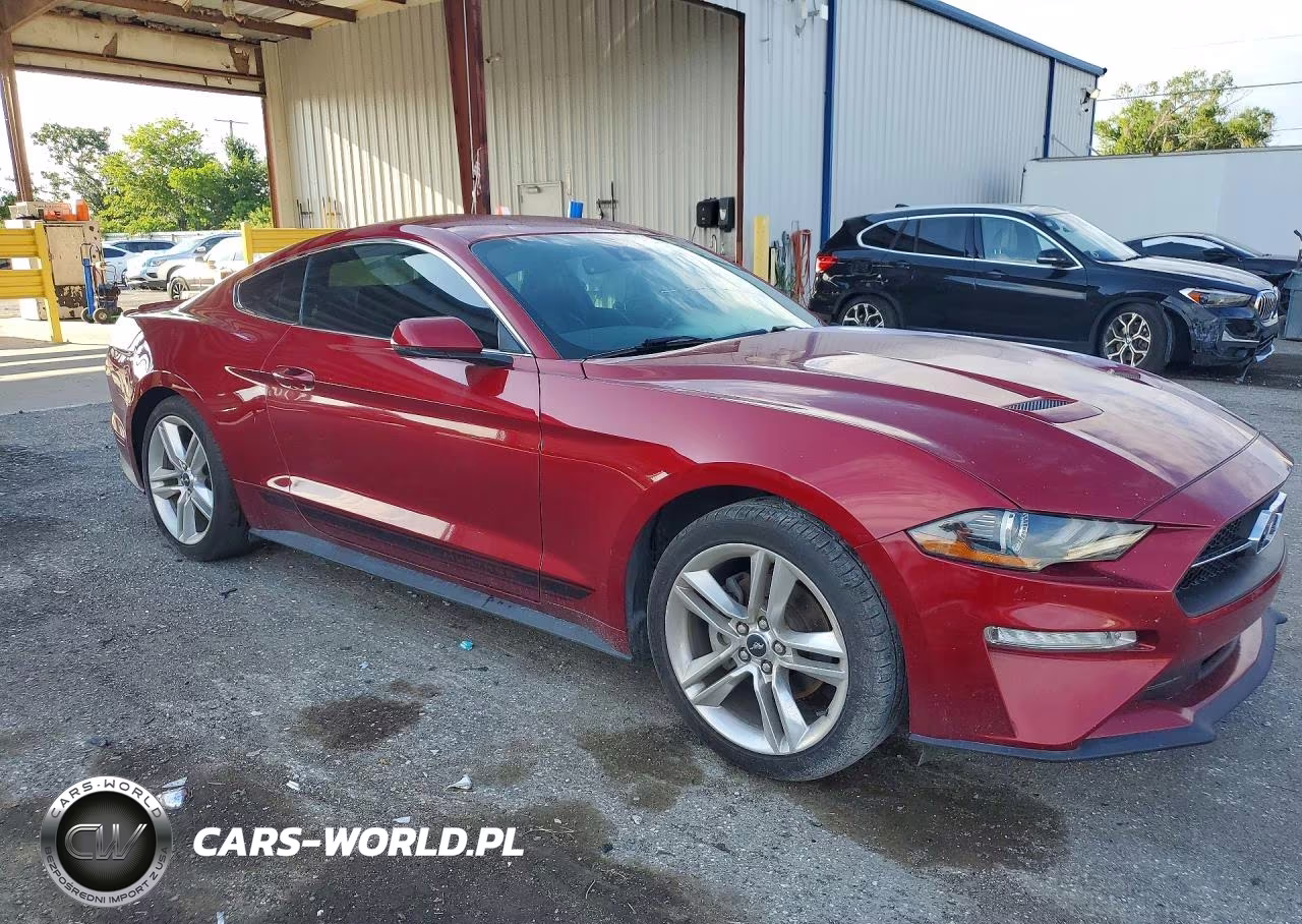 2019 Ford Mustang VIN:1FA6P8TH3K5203983 - 4