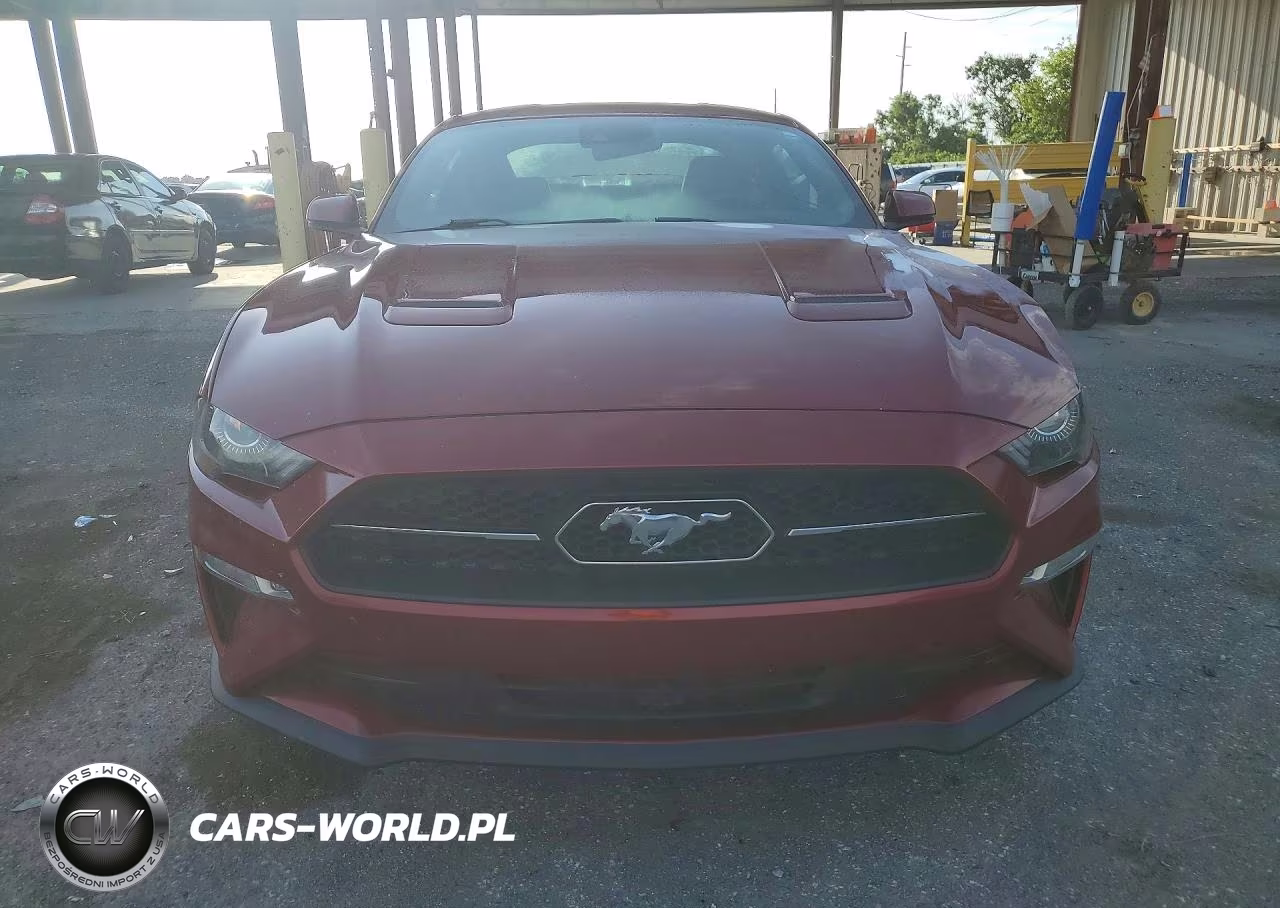 2019 Ford Mustang VIN:1FA6P8TH3K5203983 - 5