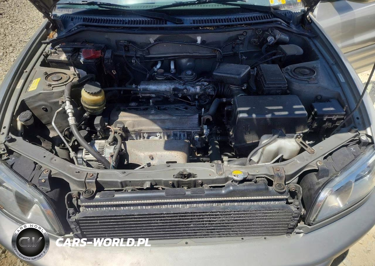 2000 Toyota Rav4 Base VIN:JT3HP10V2Y7158587 - 12