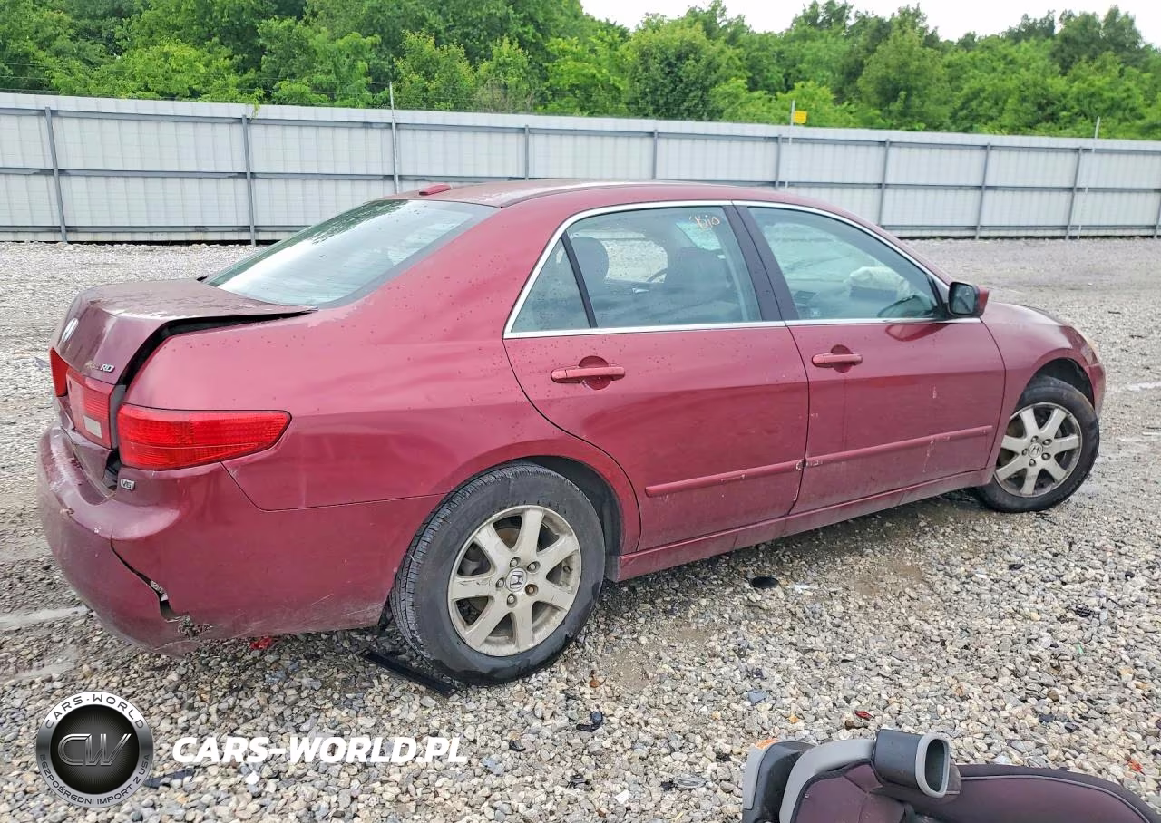 2005 Honda Accord Ex VIN:1HGCM66555A053156 - 3