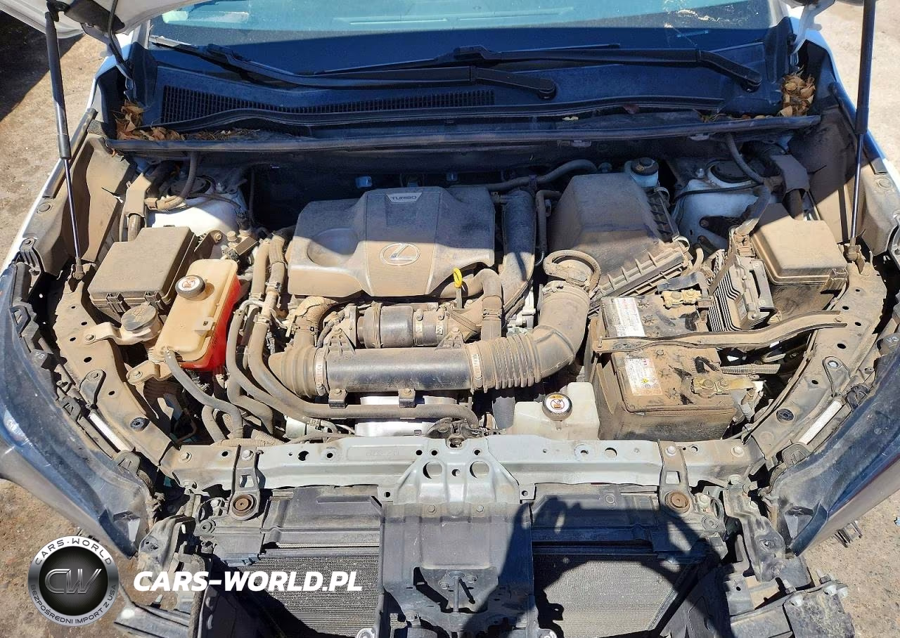 2019 Lexus Nx 300 Base VIN:JTJBARBZ5K2183549 - 11