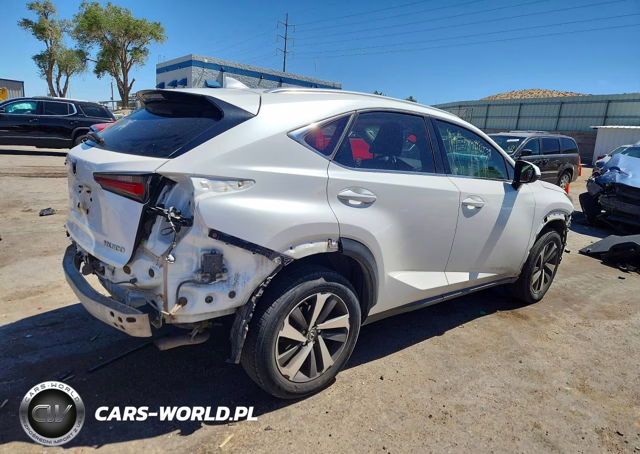 2019 Lexus Nx 300 Base VIN:JTJBARBZ5K2183549 - 3