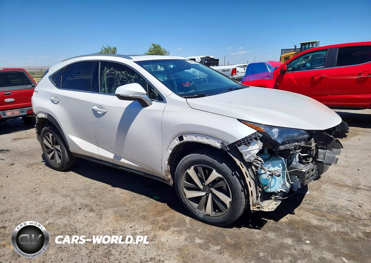 2019 Lexus Nx 300 Base VIN:JTJBARBZ5K2183549 - 4