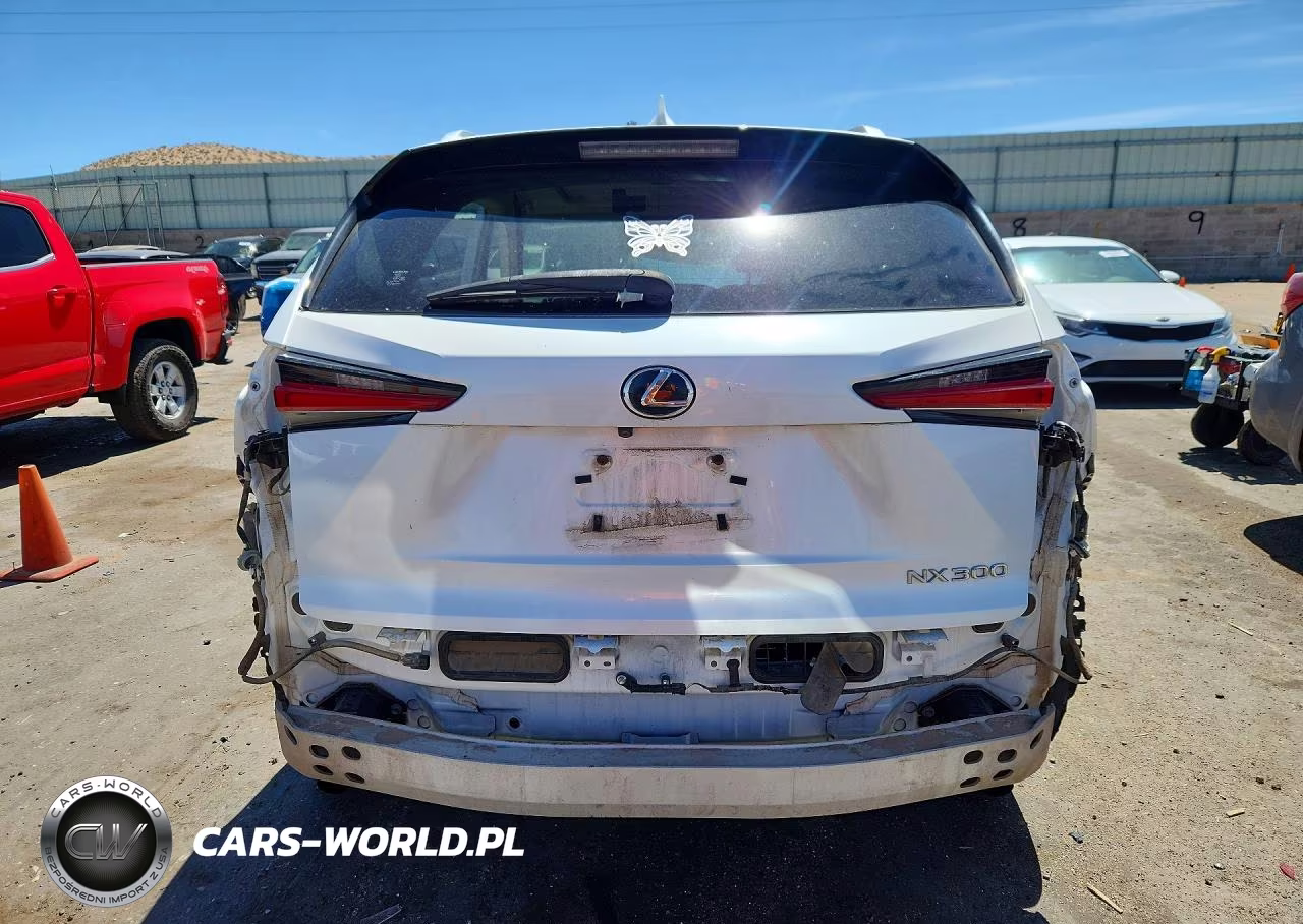 2019 Lexus Nx 300 Base VIN:JTJBARBZ5K2183549 - 6