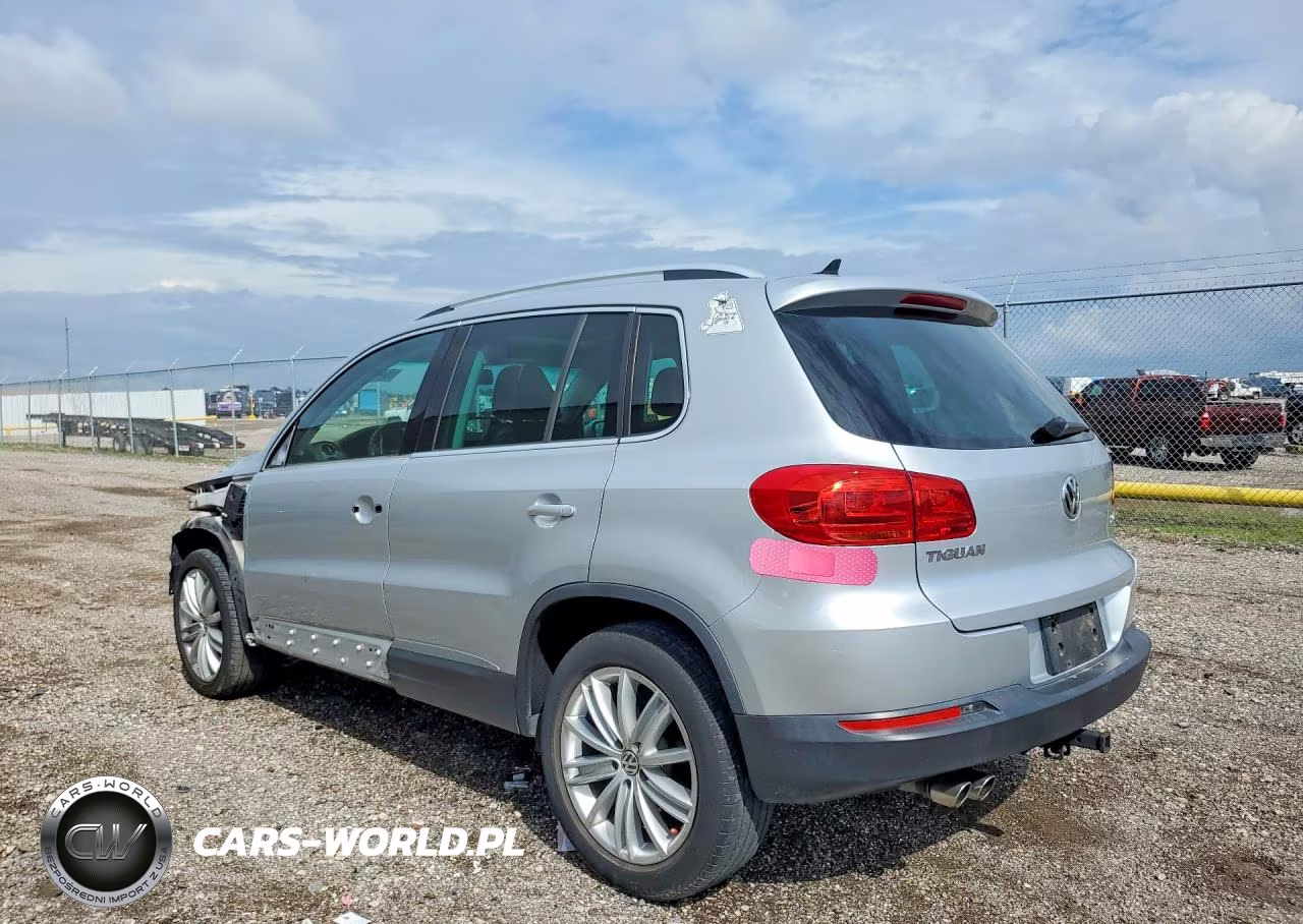2013 Volkswagen Tiguan S VIN:WVGAV3AX0DW563213 - 2