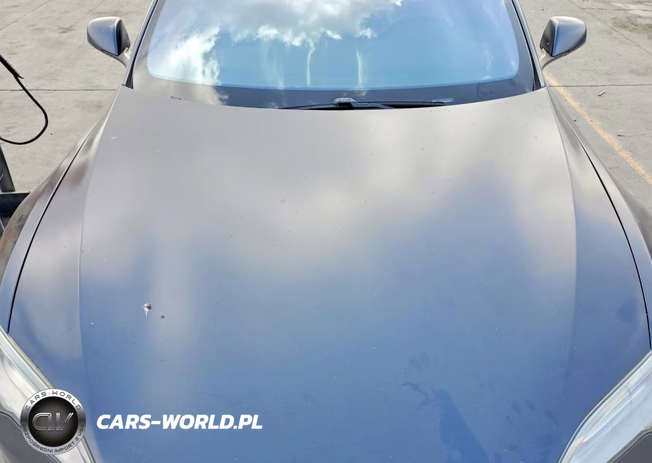 2016 Tesla Model S VIN:5YJSA1E16GF161090 - 12