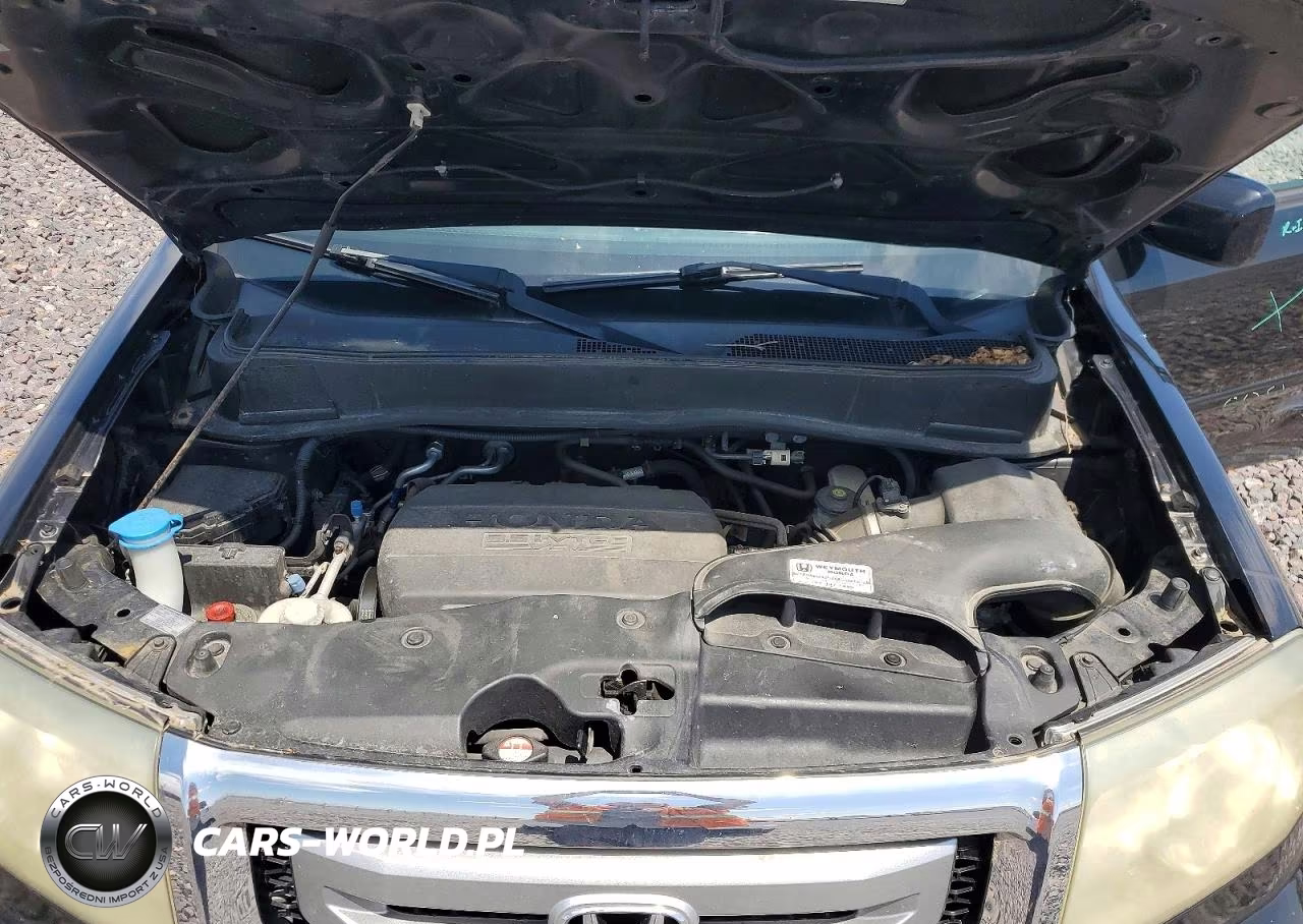 2011 Honda Pilot Exl VIN:5FNYF4H54BB074924 - 12