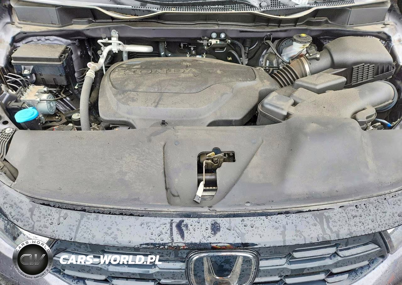2025 Honda Odyssey Exl VIN:5FNRL6H64SB032707 - 12