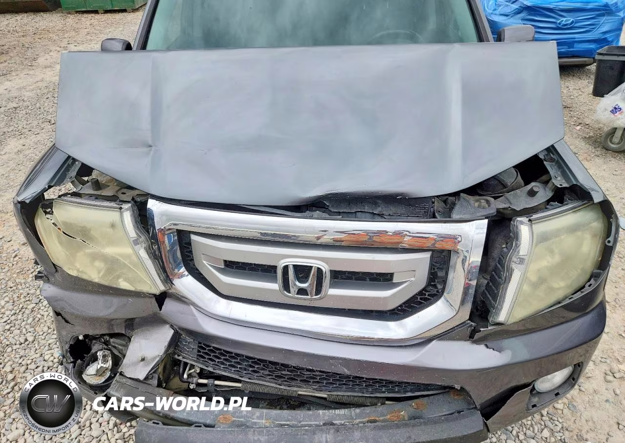 2009 Honda Pilot Exl VIN:5FNYF48669B044732 - 12