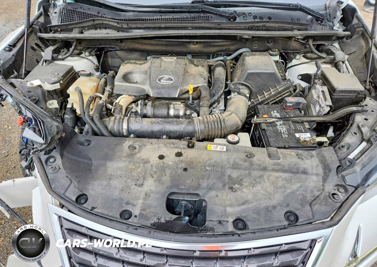 2020 Lexus Nx 300 VIN:JTJGARBZ2L2158342 - 12