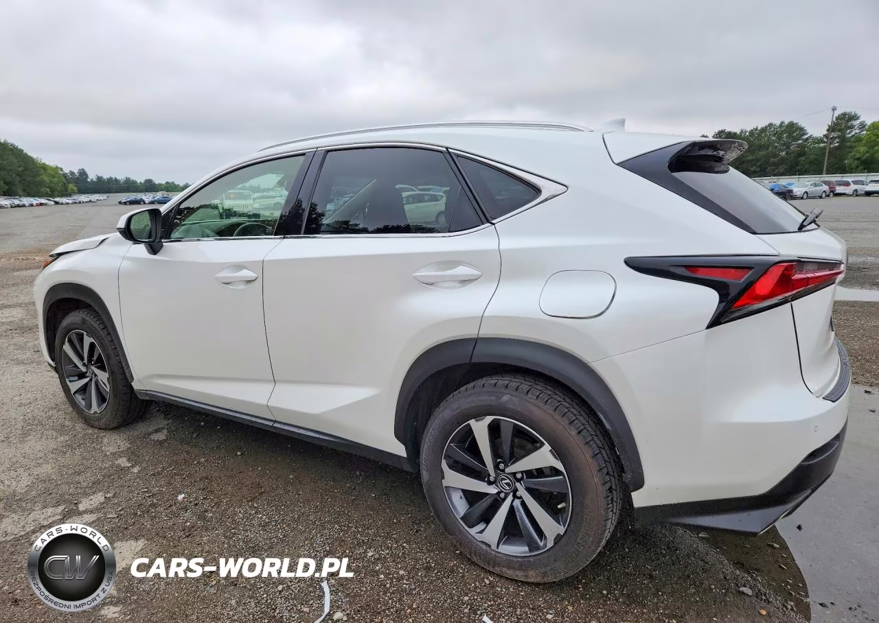 2020 Lexus Nx 300 VIN:JTJGARBZ2L2158342 - 2