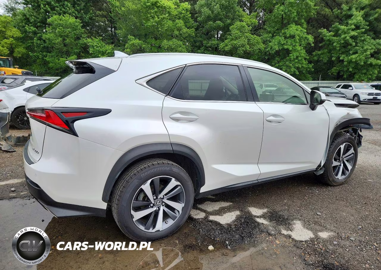 2020 Lexus Nx 300 VIN:JTJGARBZ2L2158342 - 3