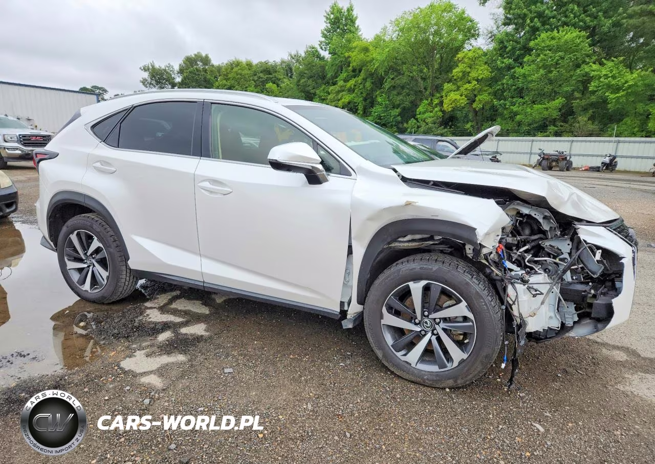 2020 Lexus Nx 300 VIN:JTJGARBZ2L2158342 - 4