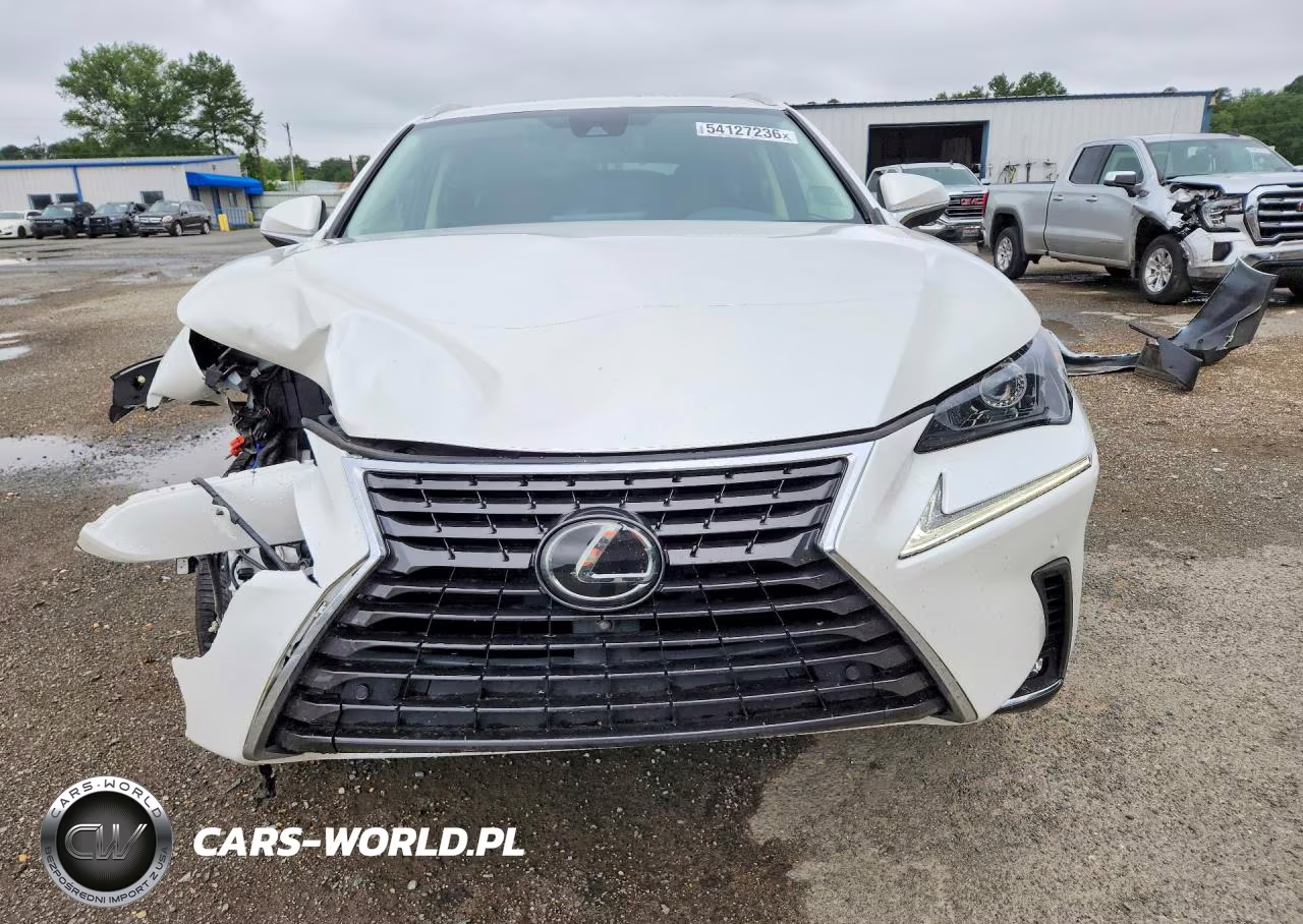 2020 Lexus Nx 300 VIN:JTJGARBZ2L2158342 - 5