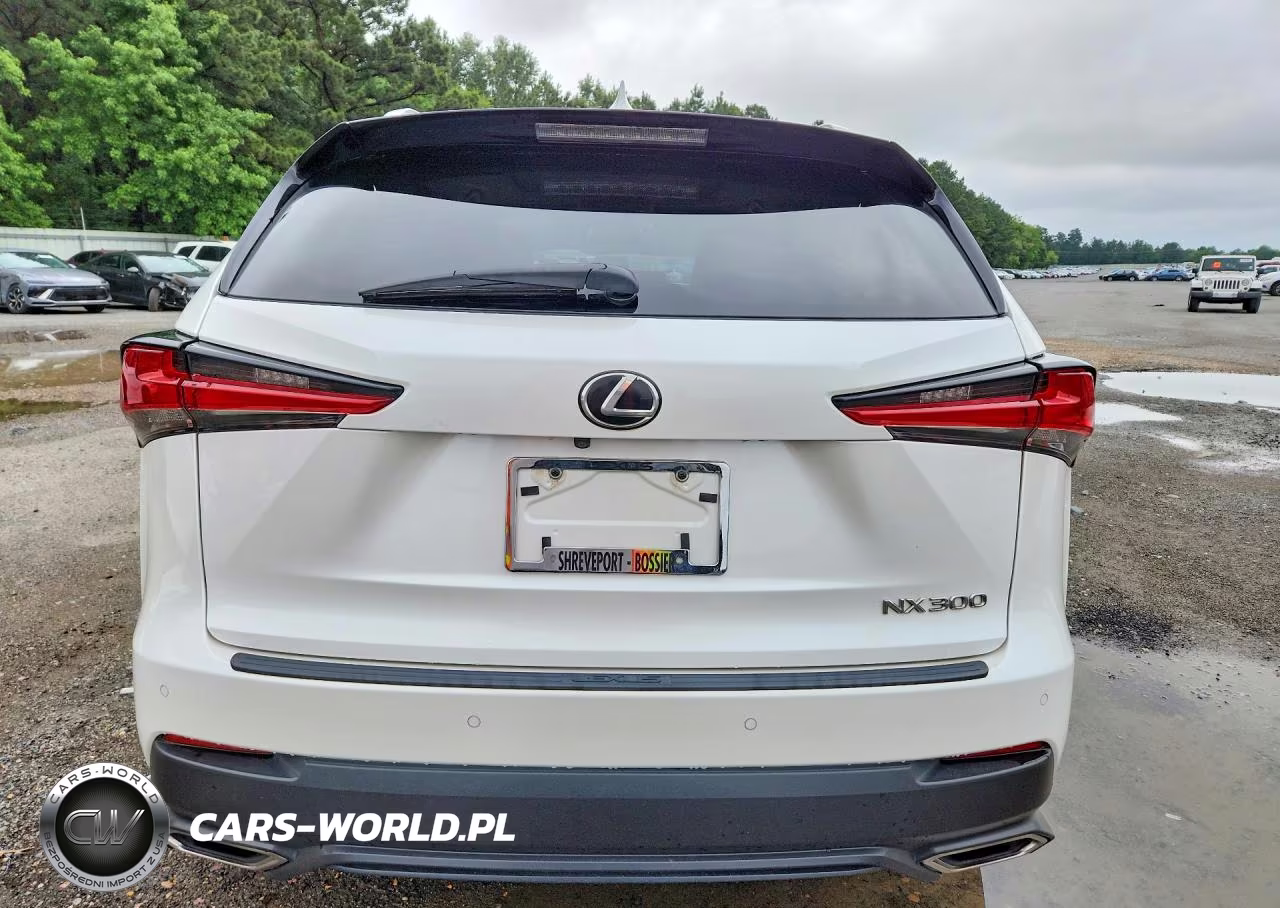 2020 Lexus Nx 300 VIN:JTJGARBZ2L2158342 - 6
