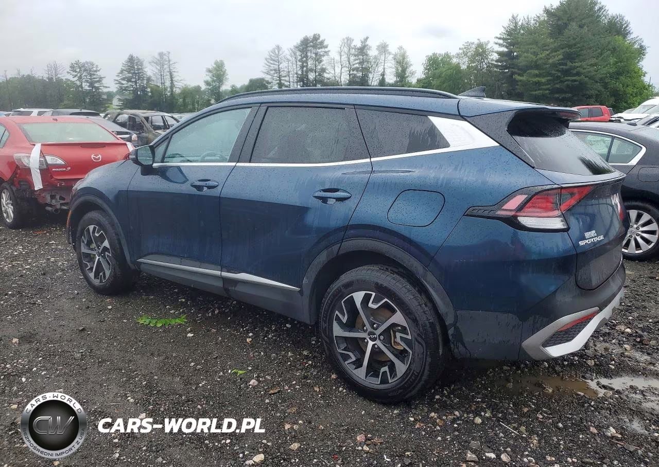 2025 Kia Sportage Ex VIN:KNDPVCDG6S7200318 - 2
