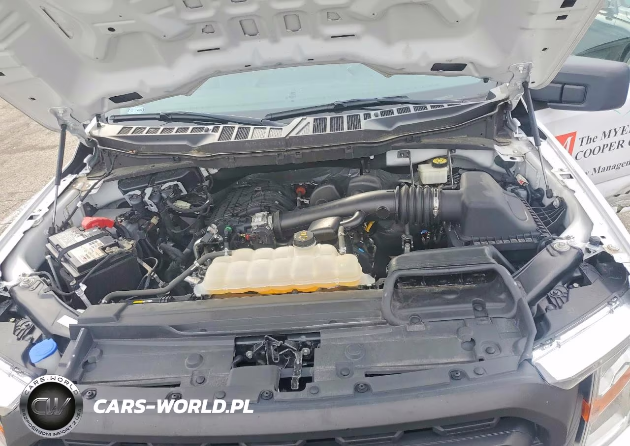 2021 Ford F150 VIN:1FTMF1CB0MKD53979 - 11