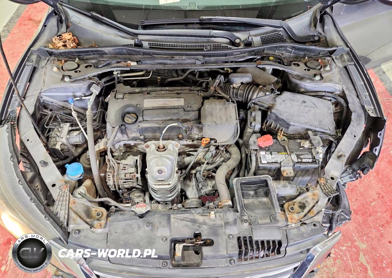 2014 Honda Accord Exl VIN:1HGCR2F86EA231340 - 11