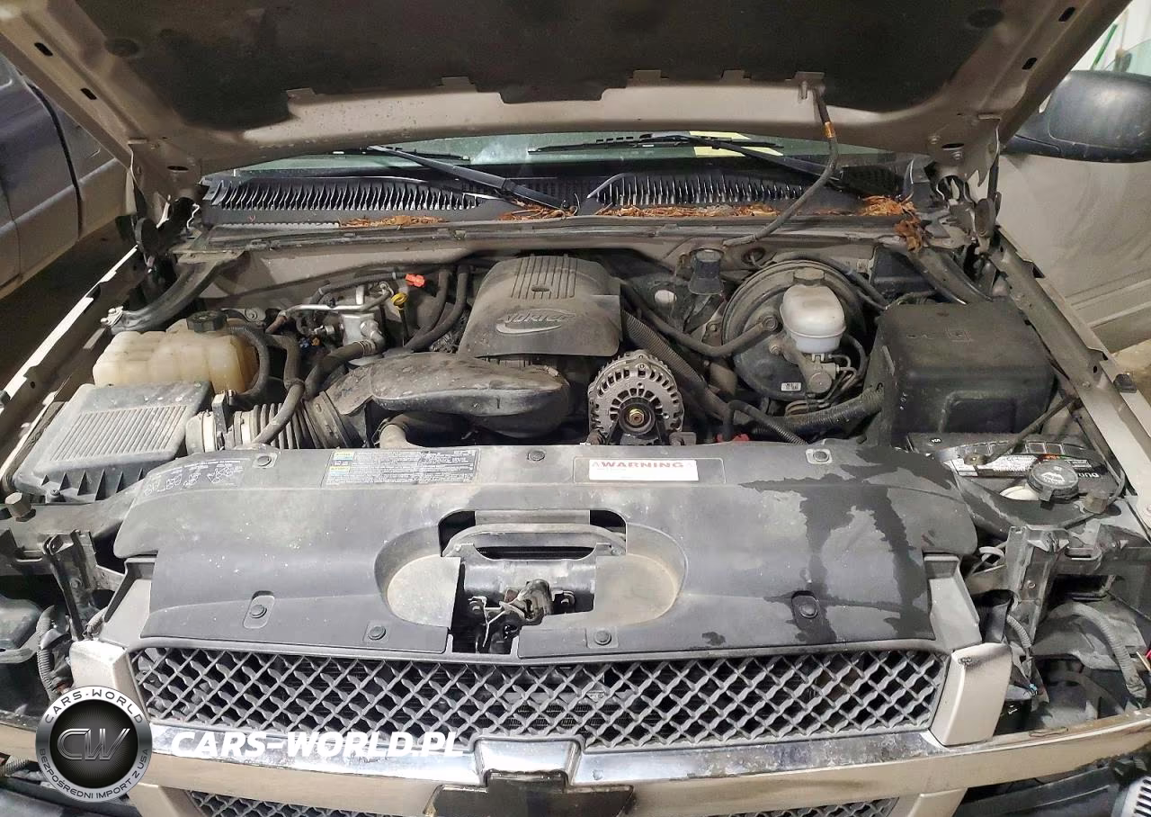 2005 Chevrolet Silverado VIN:1GCEK19B15Z331795 - 11