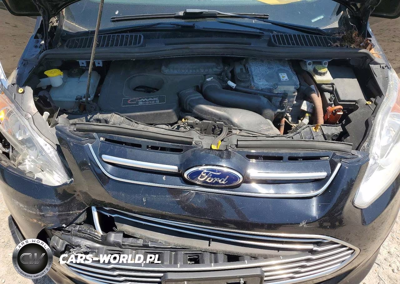2016 Ford C-Max Premium Sel VIN:1FADP5CU8GL112603 - 11