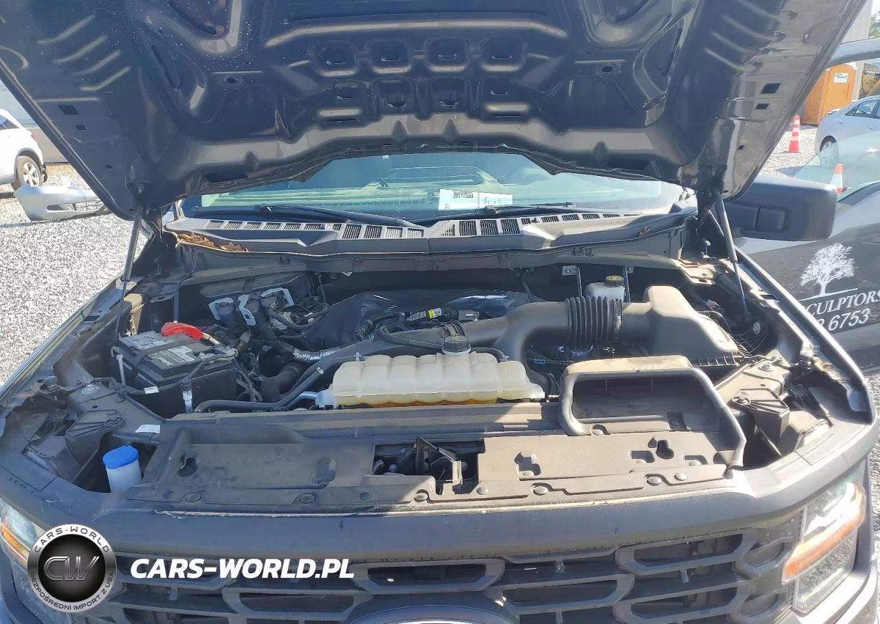 2024 Ford F150 Xl VIN:1FTMF1KP2RKD16176 - 11