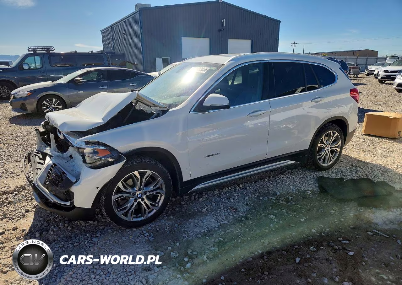 2017 BMW X1 xDrive28I – zdjęcie 1 z 12