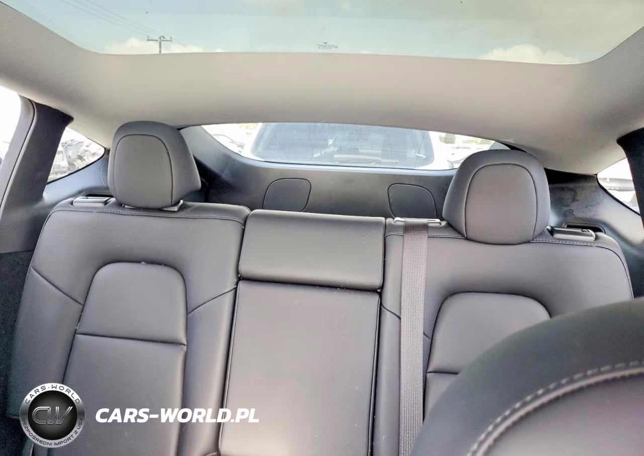 2024 Tesla Model Y Rwd VIN:7SAYGDED1RF193049 - 10