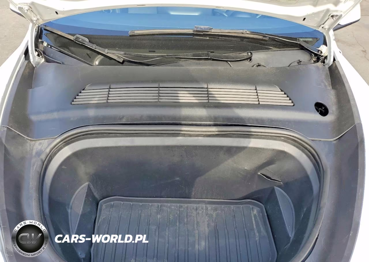 2024 Tesla Model Y Rwd VIN:7SAYGDED1RF193049 - 12