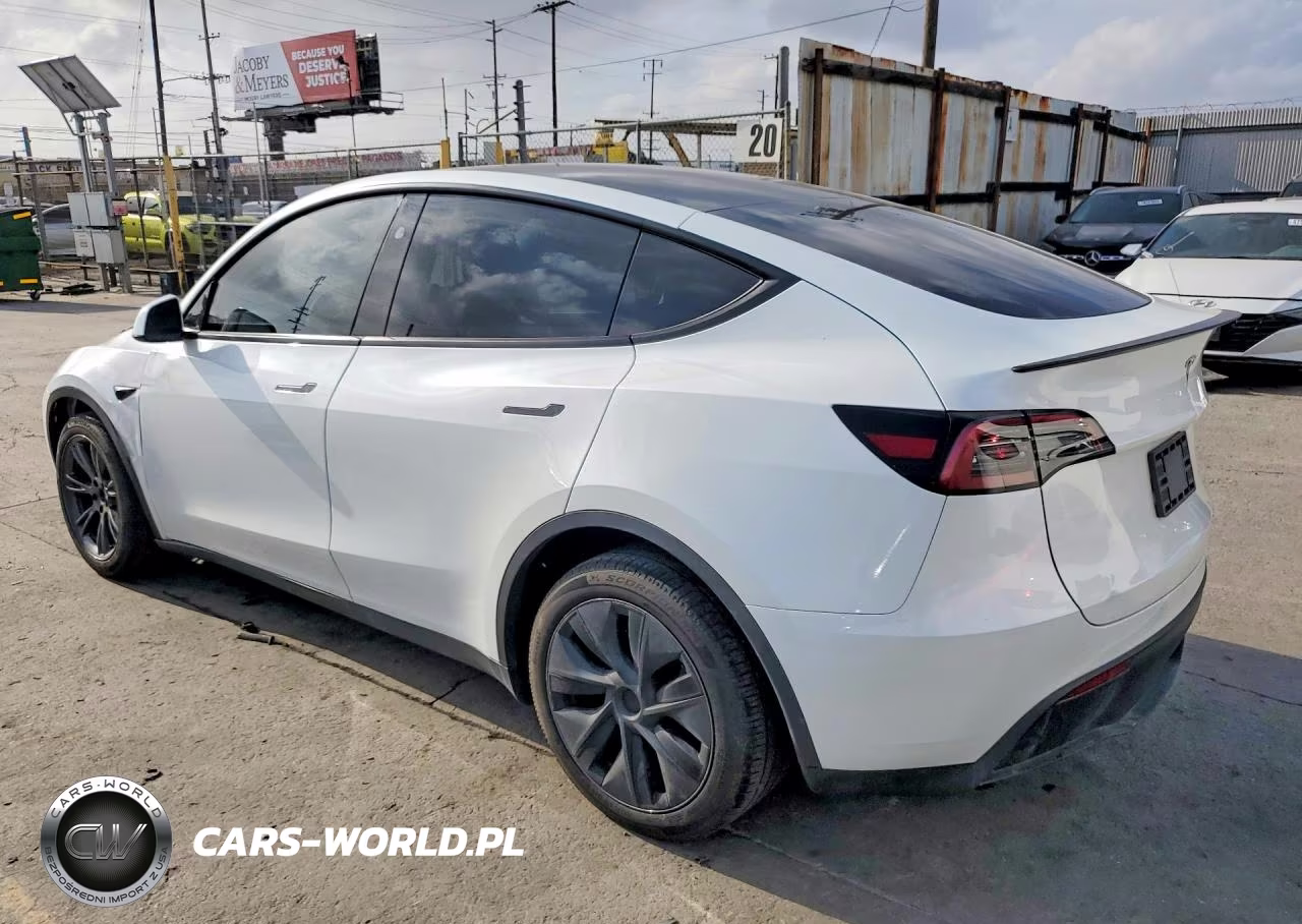 2024 Tesla Model Y Rwd VIN:7SAYGDED1RF193049 - 2