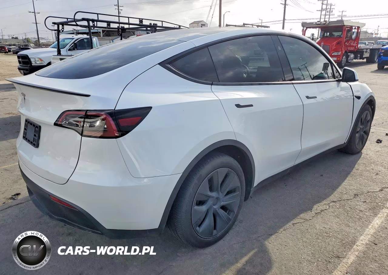 2024 Tesla Model Y Rwd VIN:7SAYGDED1RF193049 - 3