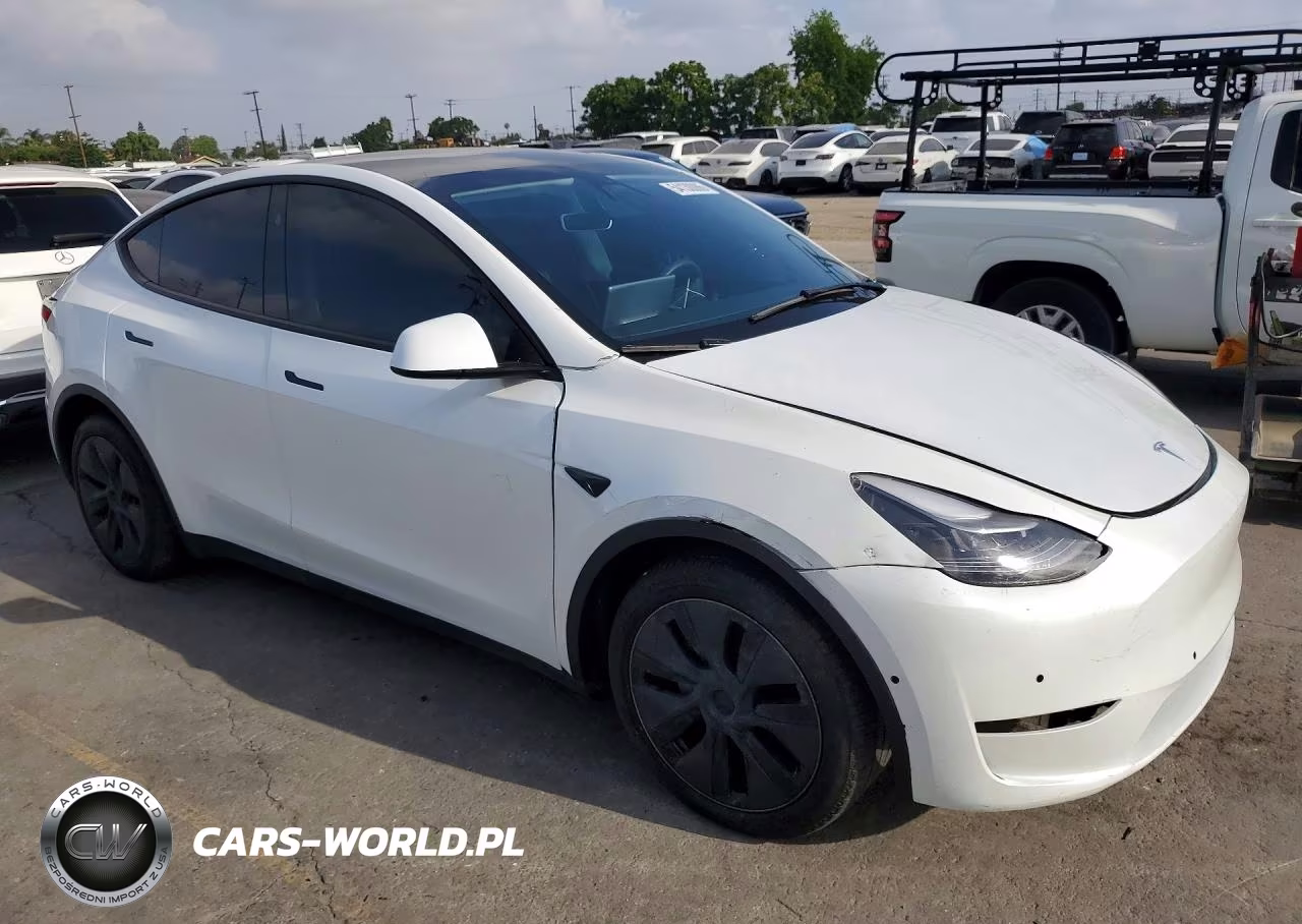 2024 Tesla Model Y Rwd VIN:7SAYGDED1RF193049 - 4