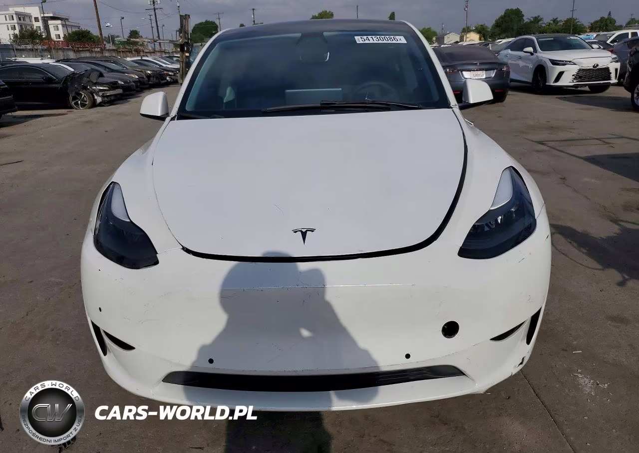 2024 Tesla Model Y Rwd VIN:7SAYGDED1RF193049 - 5