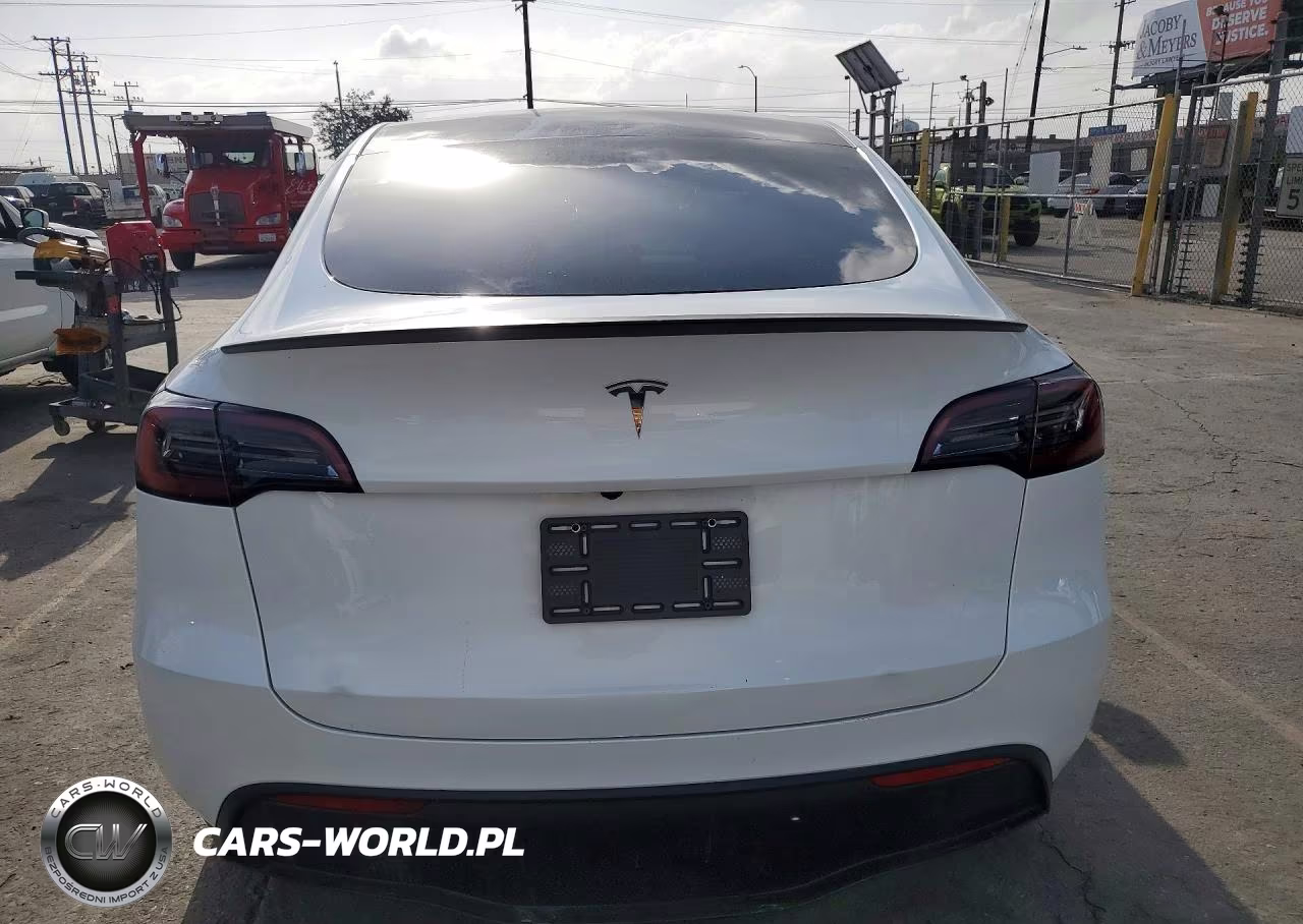 2024 Tesla Model Y Rwd VIN:7SAYGDED1RF193049 - 6