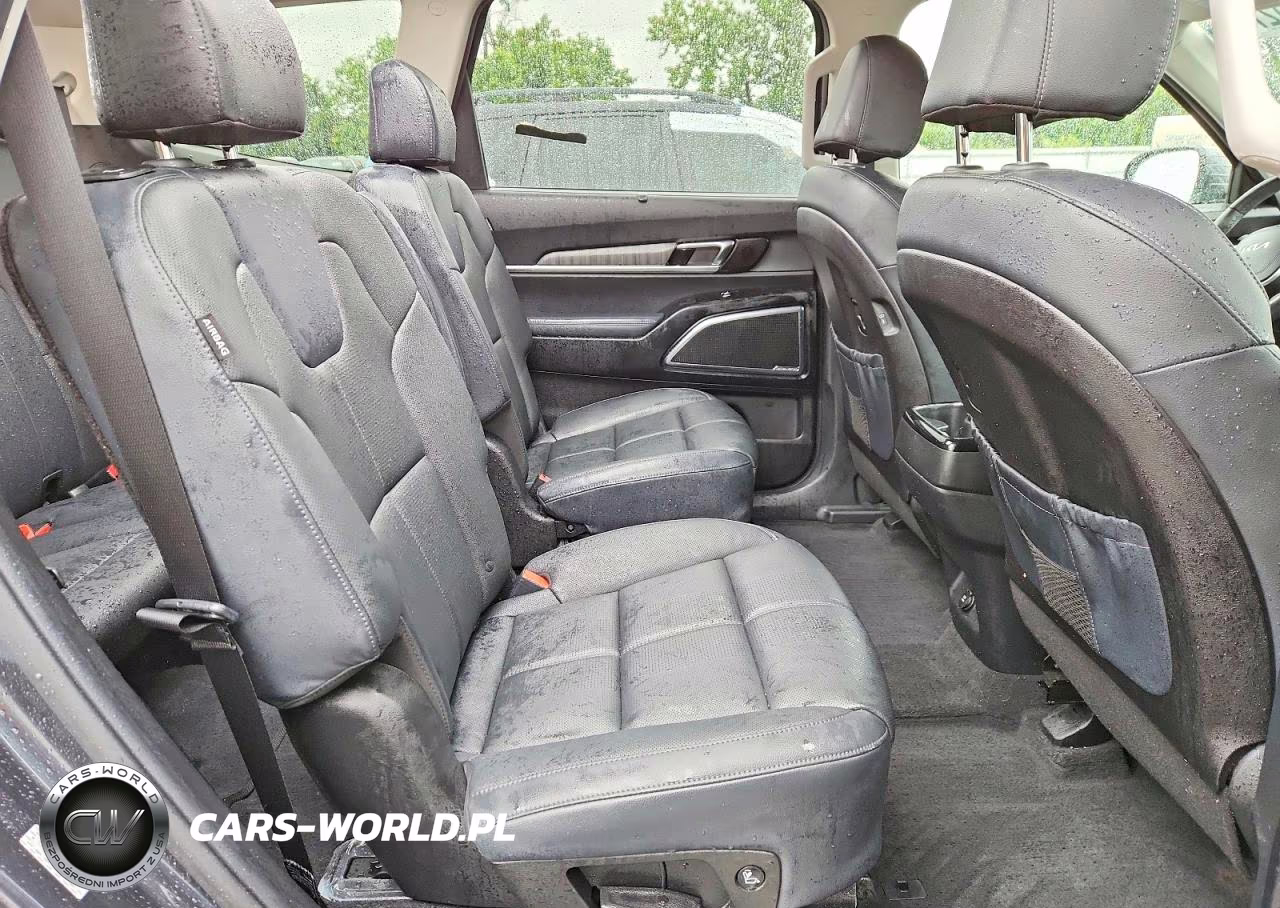 2023 Kia Telluride Sx VIN:5XYP5DGC5PG390962 - 10