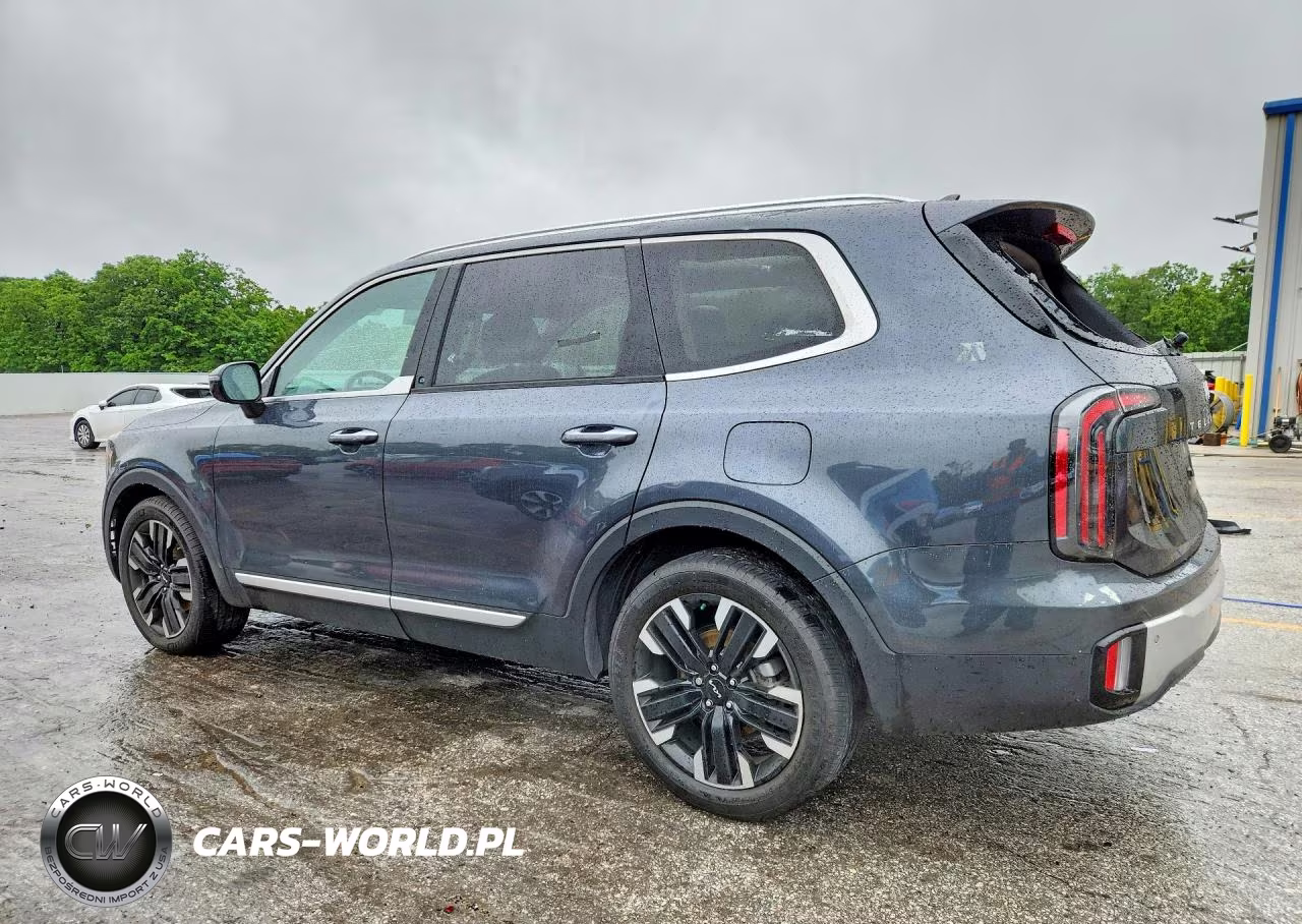 2023 Kia Telluride Sx VIN:5XYP5DGC5PG390962 - 2
