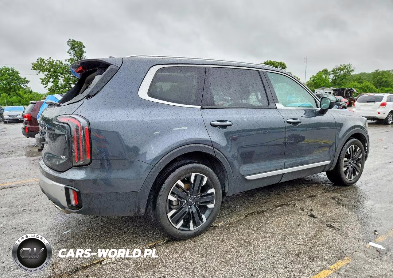 2023 Kia Telluride Sx VIN:5XYP5DGC5PG390962 - 3