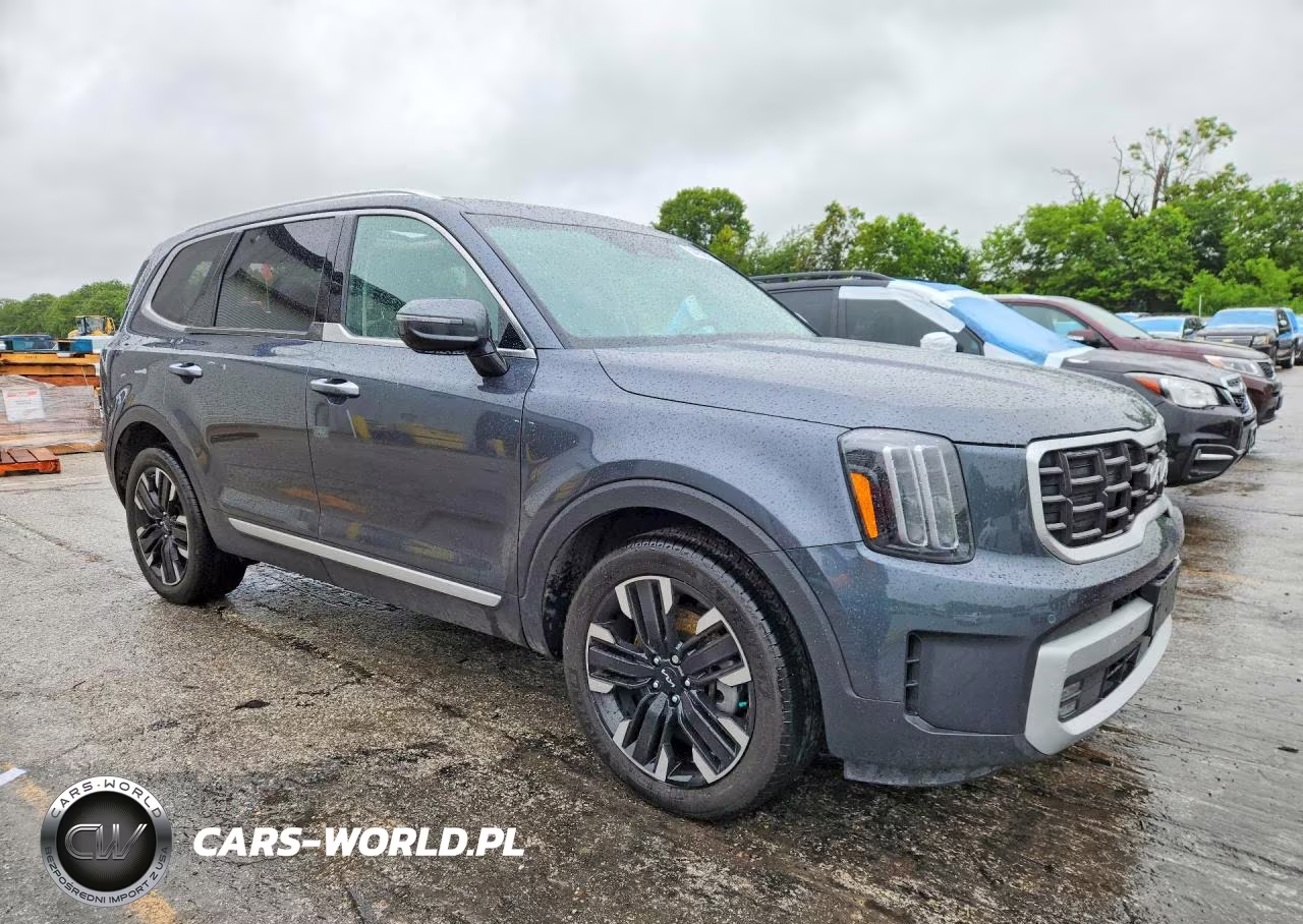 2023 Kia Telluride Sx VIN:5XYP5DGC5PG390962 - 4