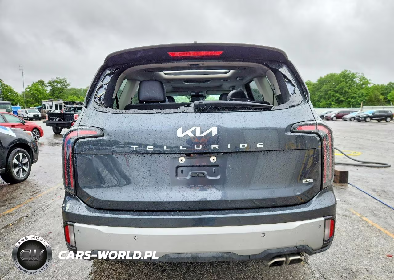 2023 Kia Telluride Sx VIN:5XYP5DGC5PG390962 - 6