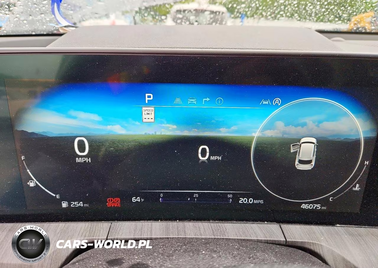 2023 Kia Telluride Sx VIN:5XYP5DGC5PG390962 - 9