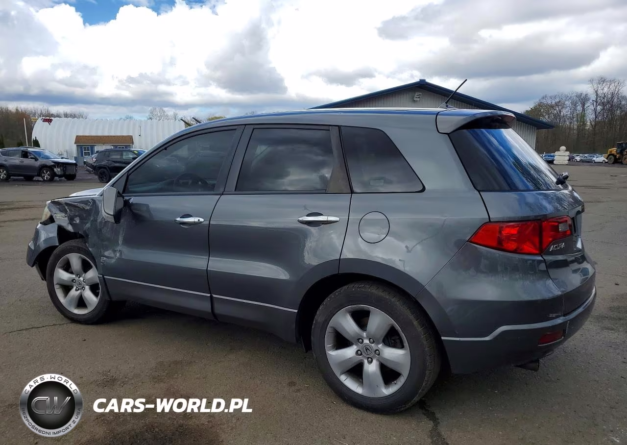 2009 Acura Rdx VIN:5J8TB18259A008459 - 2