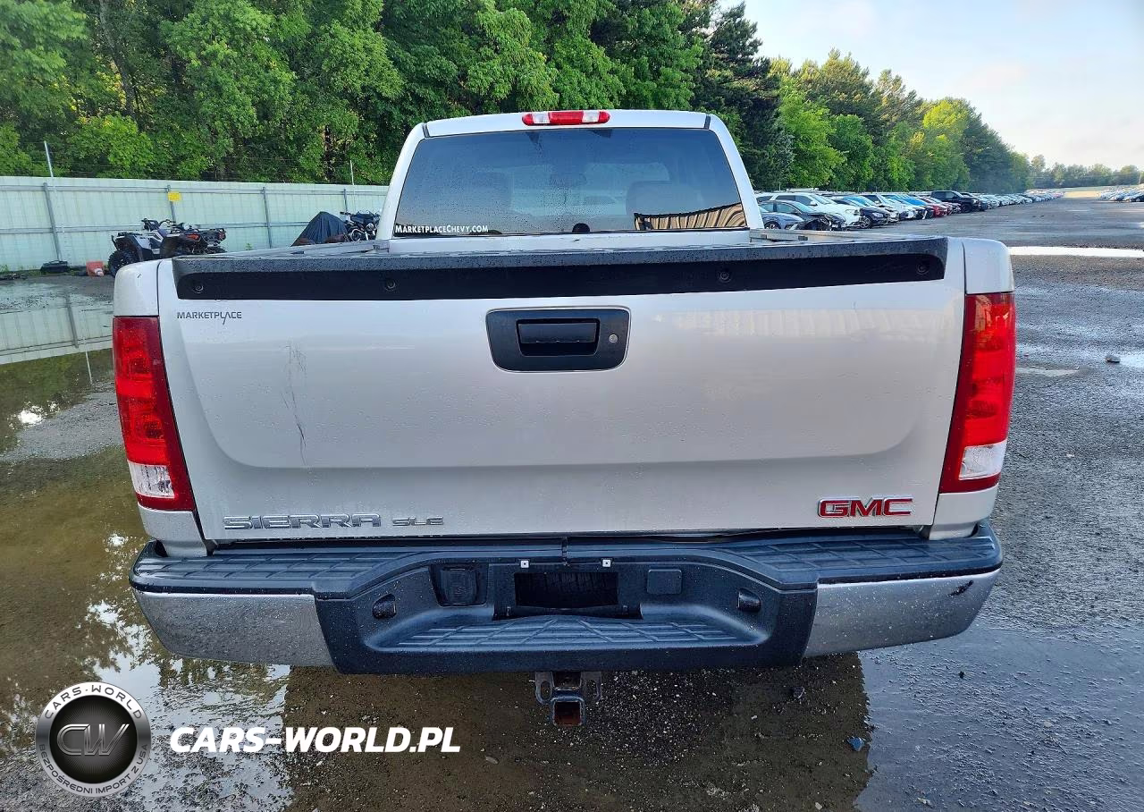 2009 GMC Sierra C1500 Sle VIN:2GTEC29J191121318 - 6