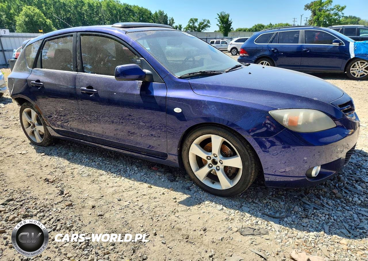 2004 Mazda 3 Hatchback VIN:JM1BK143741146439 - 4