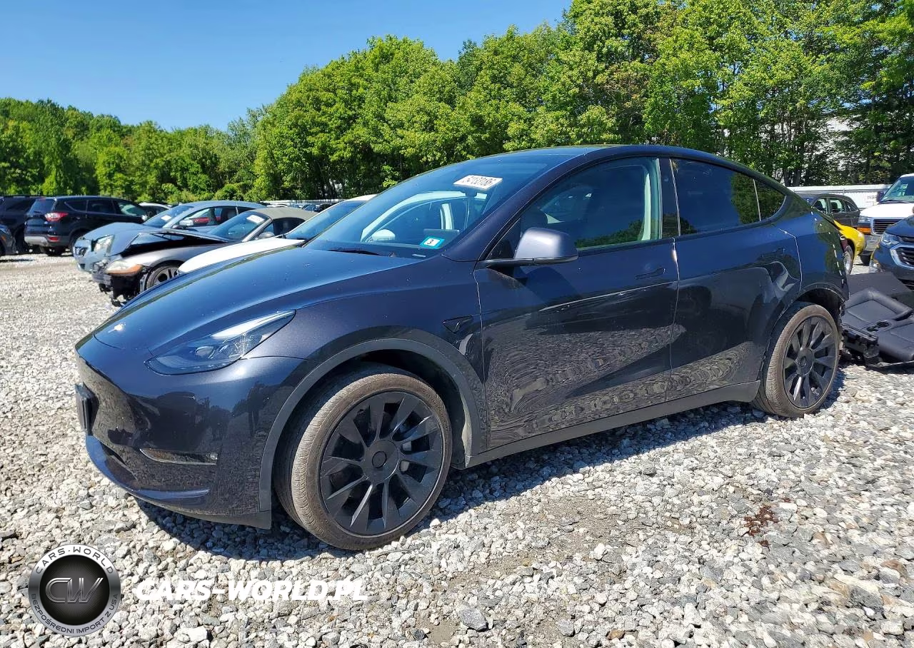 2024 Tesla Model Y