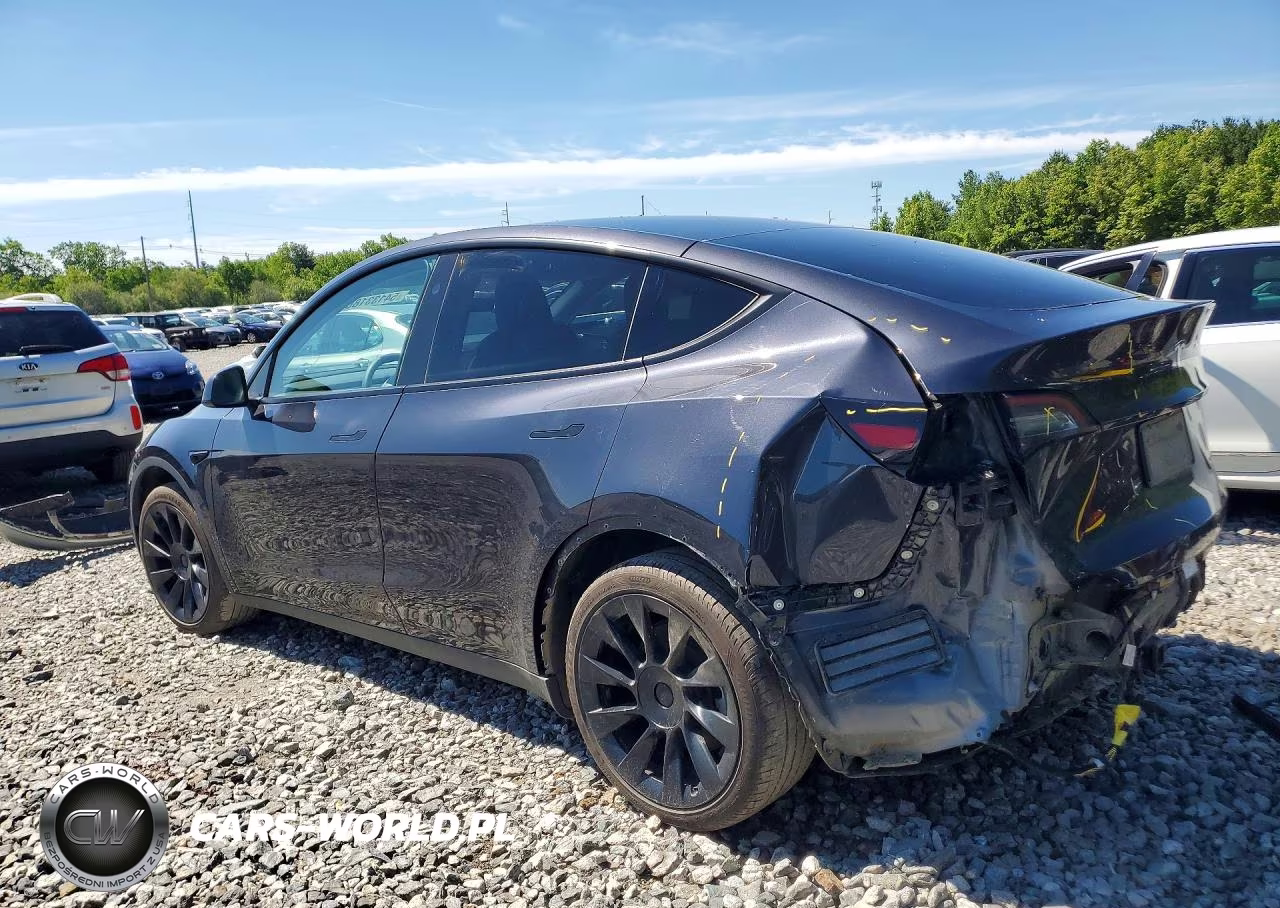 2024 Tesla Model Y VIN:7SAYGAEEXRF077047 - 2