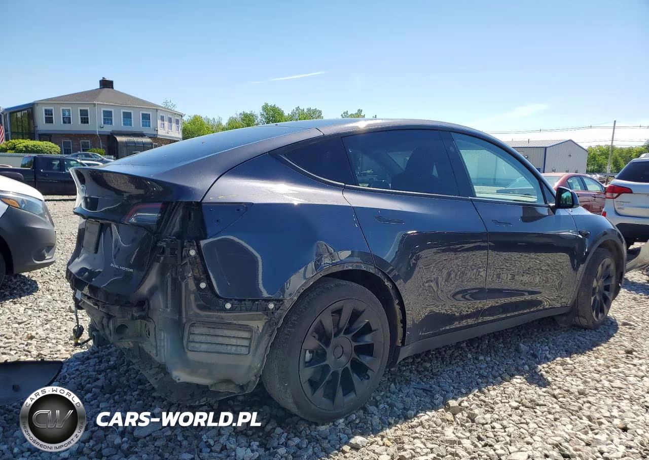 2024 Tesla Model Y VIN:7SAYGAEEXRF077047 - 3