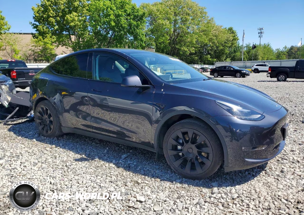 2024 Tesla Model Y VIN:7SAYGAEEXRF077047 - 4