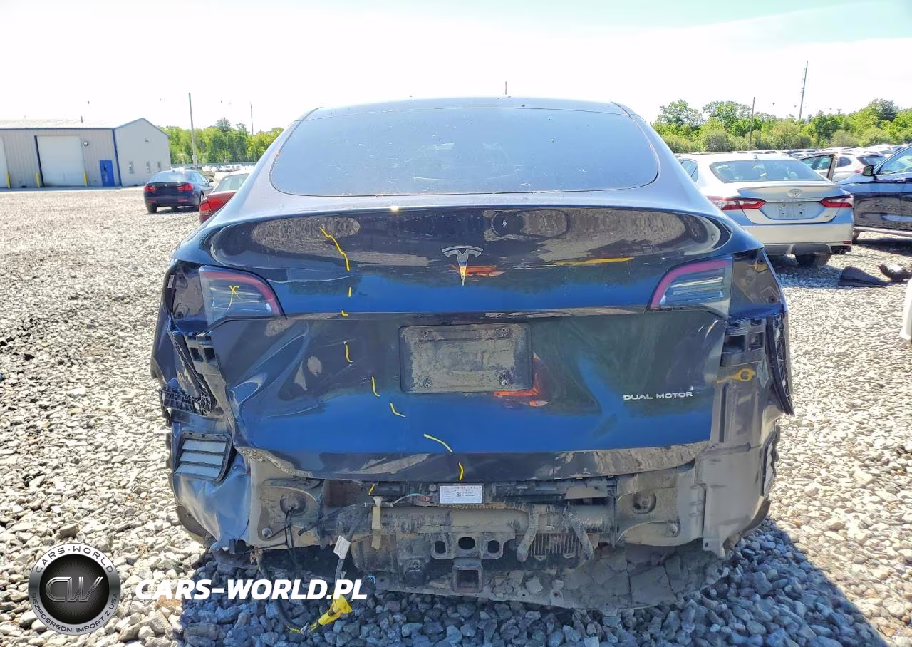 2024 Tesla Model Y VIN:7SAYGAEEXRF077047 - 6